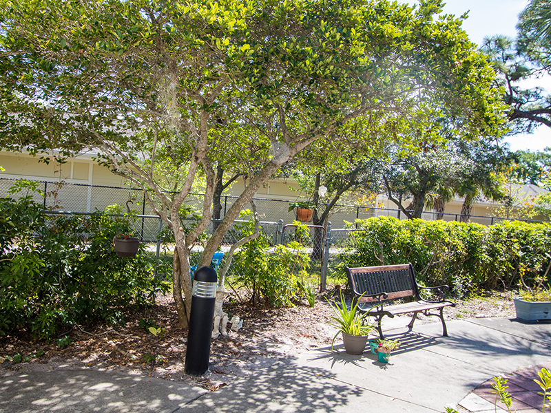 Rehab Care Center. Nursing and therapy, Clearwater, FL
